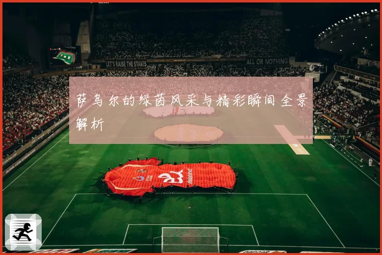萨乌尔的绿茵风采与精彩瞬间全景解析