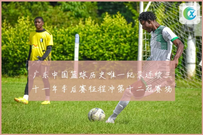 广东中国篮球历史唯一纪录连续三十一年季后赛征程冲第十二冠赛场复盘