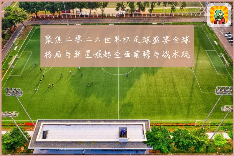 聚焦二零二六世界杯足球盛宴全球格局与新星崛起全面前瞻与战术观察
