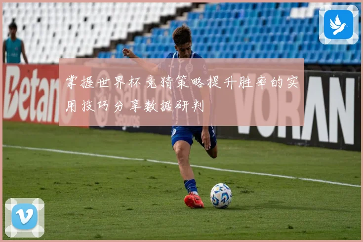 掌握世界杯竞猜策略提升胜率的实用技巧分享数据研判
