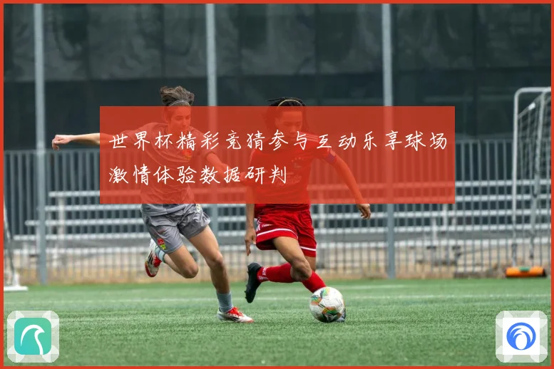 世界杯精彩竞猜参与互动乐享球场激情体验数据研判